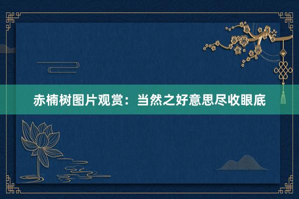 赤楠树图片观赏：当然之好意思尽收眼底